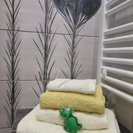 Apartament Widok Polana Szaflarska Nowy Targ Exteriér fotografie