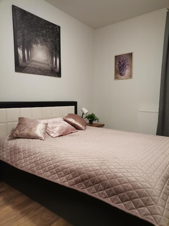 Widok Polana Szaflarska Nowy Targ