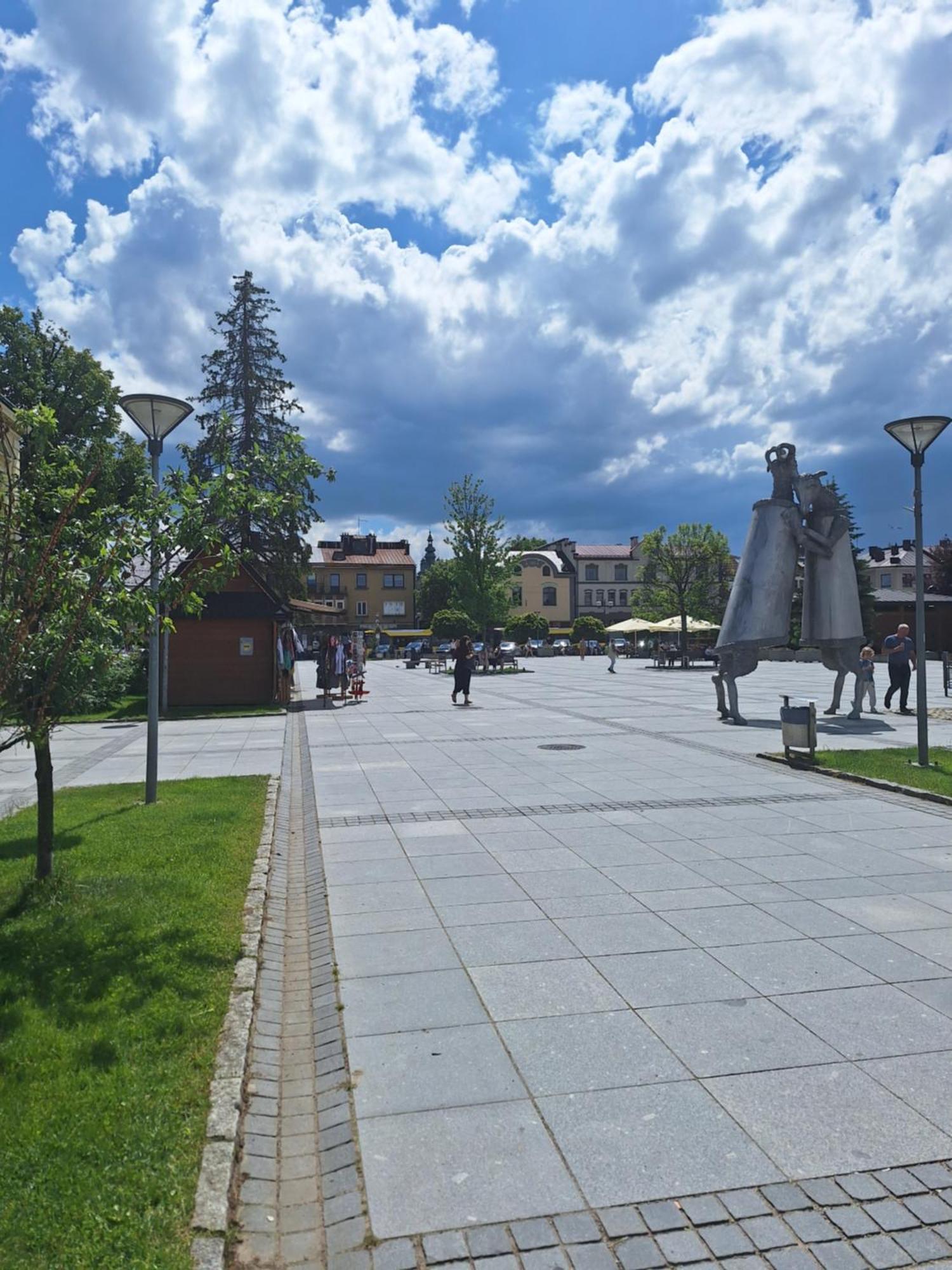 Widok Polana Szaflarska Apartment